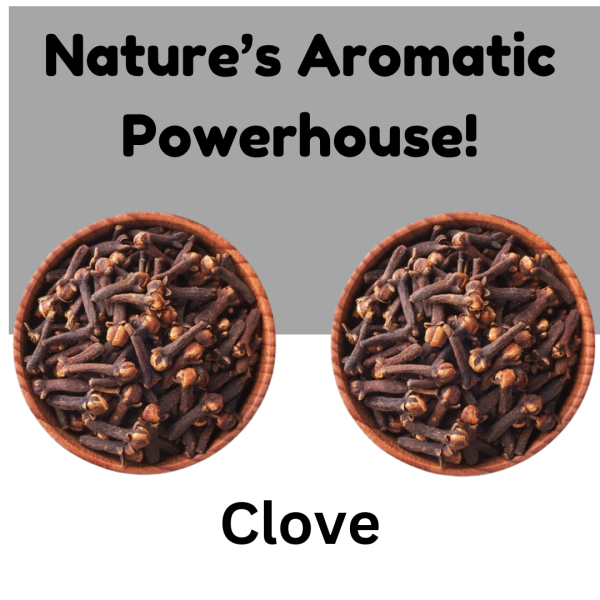 Clove